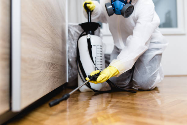 Best Pest Control Cost  in Redland, TX