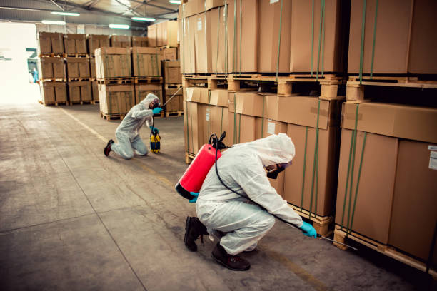 Best Flea Control Services  in Redland, TX