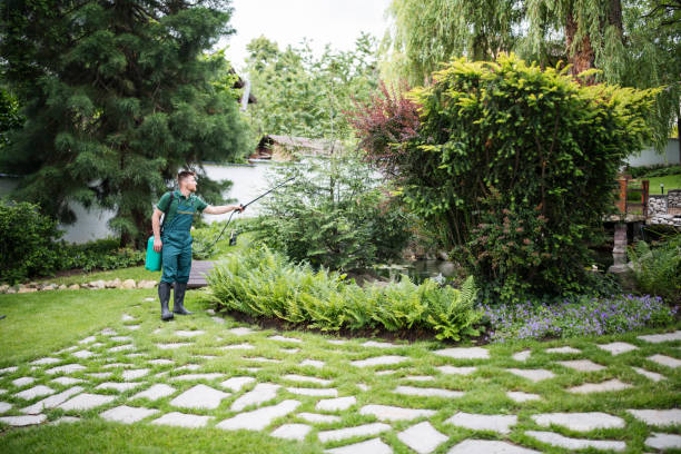 Best Pest Prevention Services  in Redland, TX