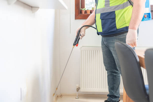 Best Local Pest Control Services  in Redland, TX