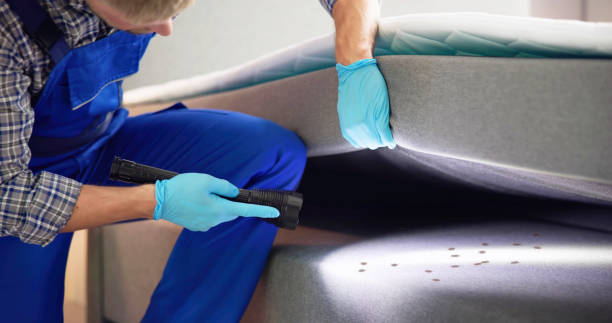 Best Affordable Pest Control Services  in Redland, TX