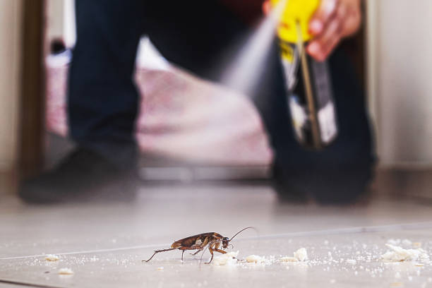 Best Pest Removal Services  in Redland, TX